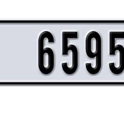 E 65955